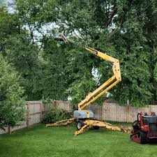 Best Tree Removal  in Grandview, IL