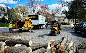 Grandview, IL Tree Removal Company