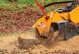 Best Tree Disease Treatment  in Grandview, IL