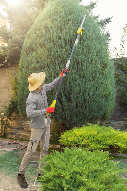 Best Lawn Watering Services  in Grandview, IL